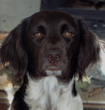 Zouy od Pstruží říčky