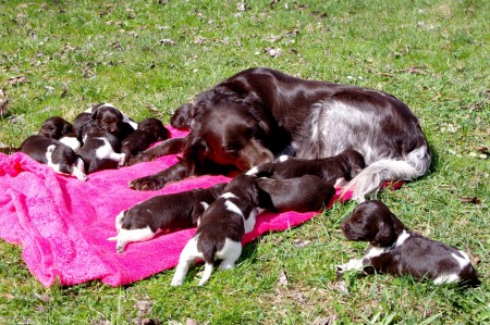 Vrh J  nové foto na https://odpstruzirickymmo.rajce.idnes.cz/Stenda_J