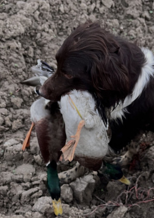 Peter Pan od Pstruží říčky
