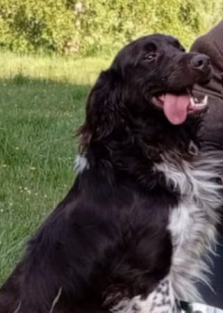 Trend Od Pstruží říčky